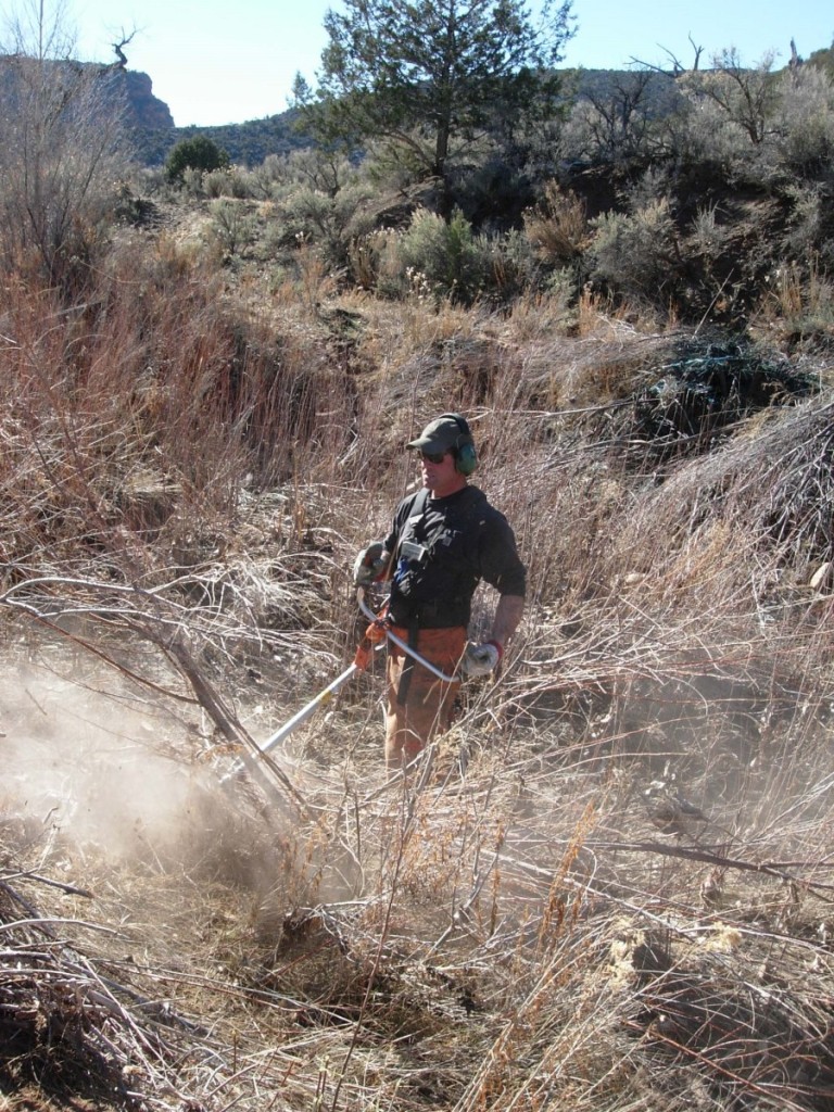 Backcountry Noxious Weed Management