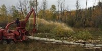 Heavy Duty Tree and Brush Removal